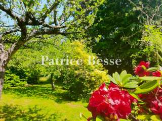 Vente maison 10 pièces