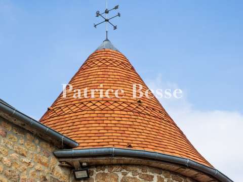 Vente maison 10 pièces