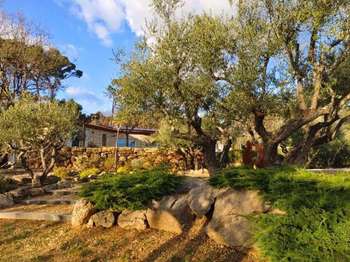 Vente maison 6 pièces Lorgues 83