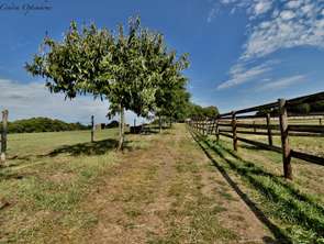 Vente Maison 9 piècesLorient