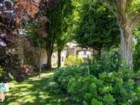 Vente maison 12 pièces
