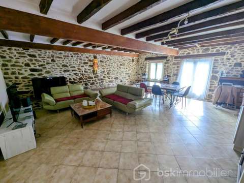 Vente maison 10 pièces