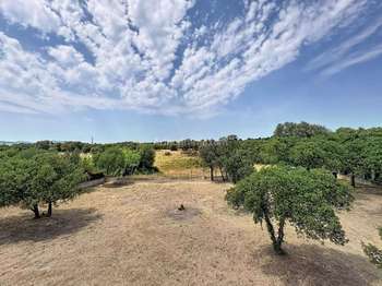 Vente Maison 4 chambresLumio