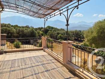 Vente Maison 6 chambresLumio