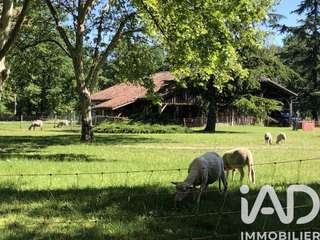Vente maison 8 pièces Vente maison 8 pièces