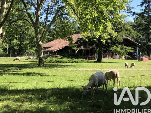 Vente maison 8 pièces Luxey 40