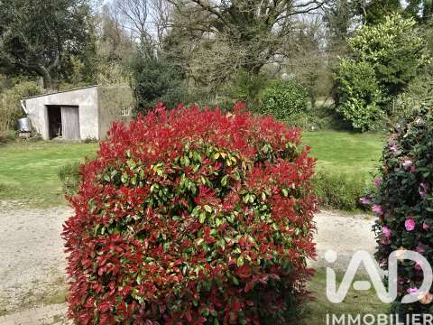 Vente maison 1 pièce Vente maison 1 pièce