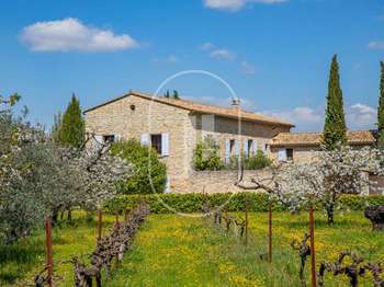 Vente maison 11 pièces Malaucène 84