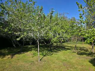 Vente maison 12 pièces