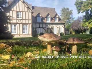 Vente maison 13 pièces