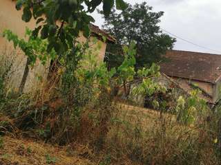 Vente maison 1 pièce