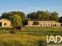 Vente maison 12 pièces