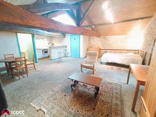 Vente maison 21 pièces