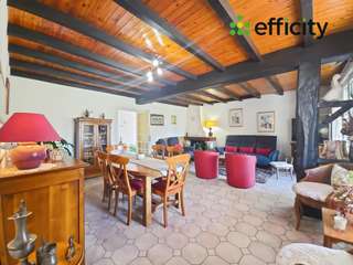 Vente maison 10 pièces