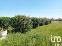 Vente maison 36 pièces