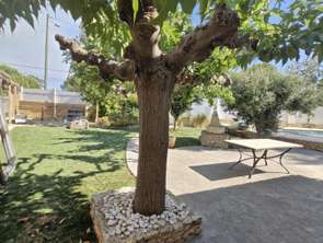 Vente Maison 3 chambresMarseillan