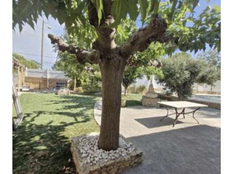 Vente maison 5 pièces Marseillan 34