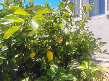 Vente maison 5 pièces Marseille 7e 13