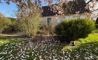 Photo Vente maison Martainville-Épreville