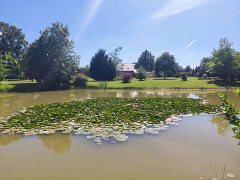 Vente maison 12 pièces