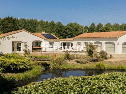 Vente maison 6 pièces Martinet 85