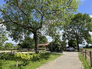 Vente maison 7 pièces Martres-de-Rivière 31