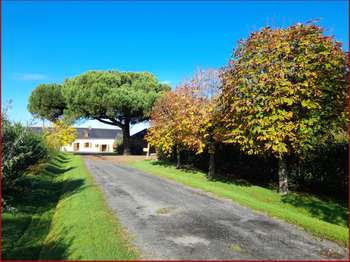 Vente maison 9 pièces Maumusson 44