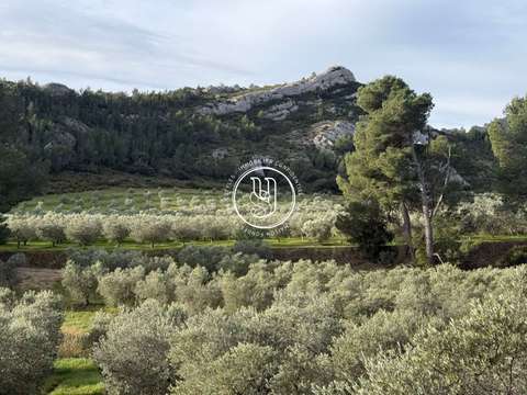 Vente maison Maussane-les-Alpilles 13