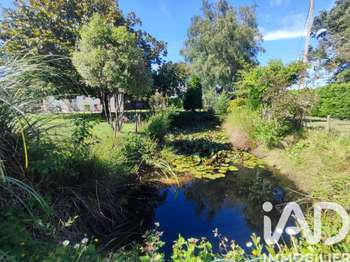 Vente maison 6 pièces Mauves-sur-Loire 44