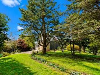 Vente maison 5 pièces Mauves-sur-Loire 44