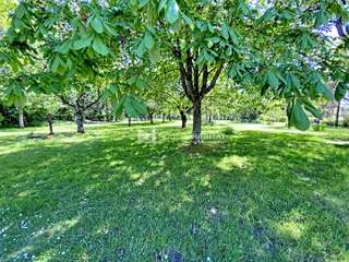 Vente maison 11 pièces