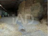 Vente maison 1 pièce