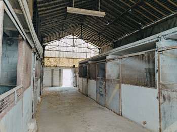 Vente maison 2 pièces Melay 49
