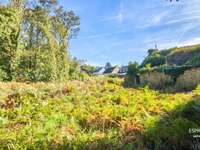 Vente maison 1 pièce Vente maison 1 pièce