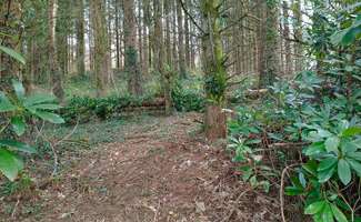 Photo Vente maison Mellionnec