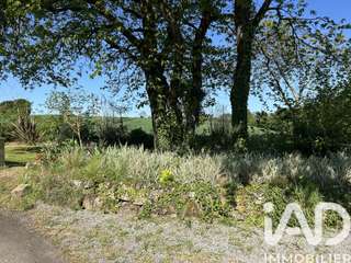 Vente maison 14 pièces