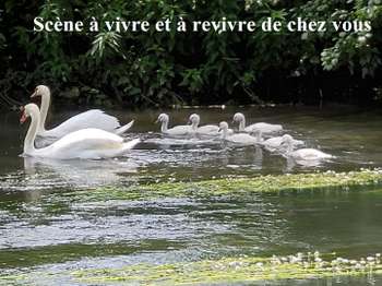 Vente maison 11 pièces Ménilles 27