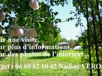 Vente maison 11 pièces