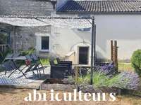 Vente maison 14 pièces