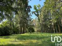 Vente maison 13 pièces