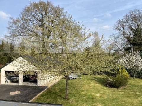 Vente maison 9 pièces Mésanger 44