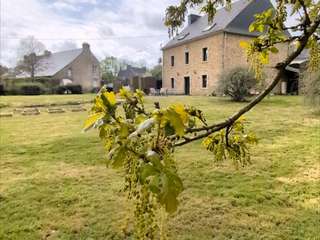 Vente maison 11 pièces Vente maison 11 pièces