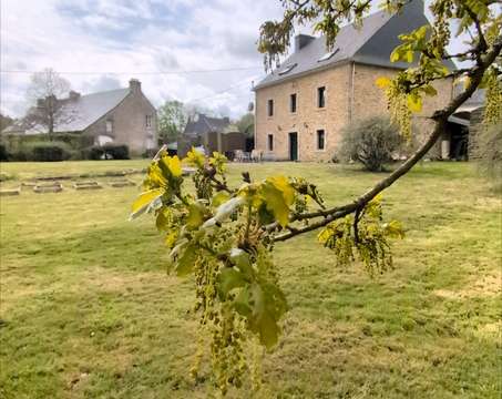 Vente maison 11 pièces Vente maison 11 pièces
