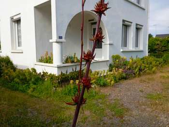 Vente maison 7 pièces Missillac 44