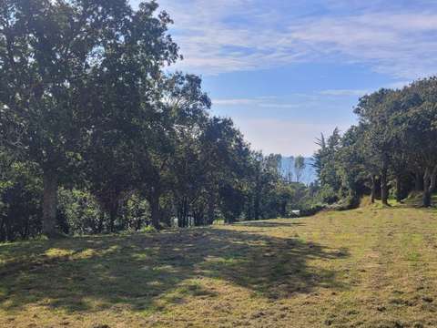 Vente maison 6 pièces Moëlan-sur-Mer 29