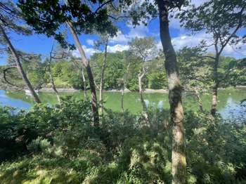 Vente maison 9 pièces Moëlan-sur-Mer 29