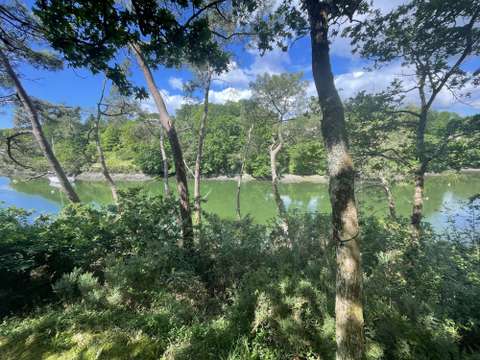Vente maison 9 pièces Moëlan-sur-Mer 29