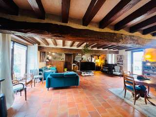Vente maison 19 pièces