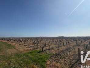 Vente Maison 7 piècesMonnières