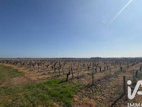 Vente maison 7 pièces Monnières 44